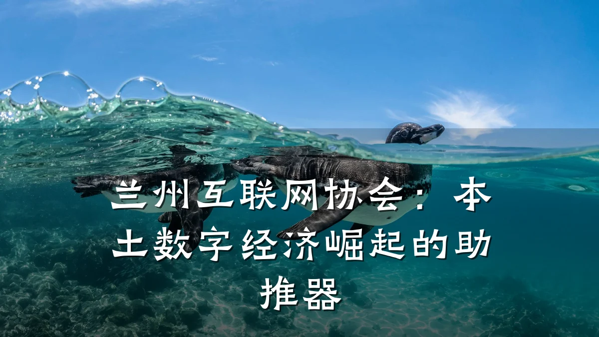 兰州互联网协会:本土数字经济崛起的助推器