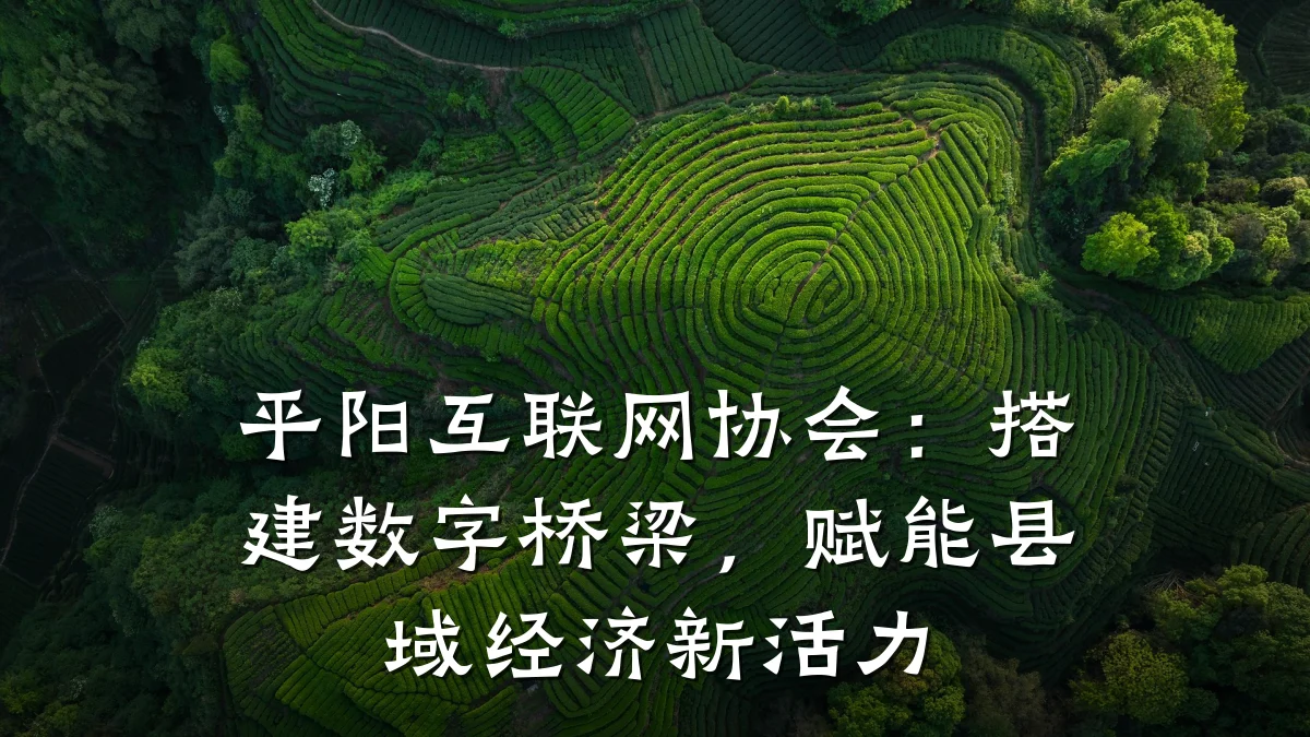 平阳互联网协会:搭建数字桥梁,赋能县域经济新活力