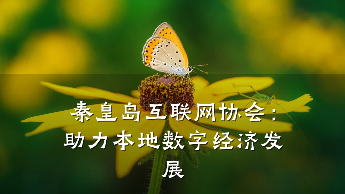 秦皇岛互联网协会:助力本地数字经济发展