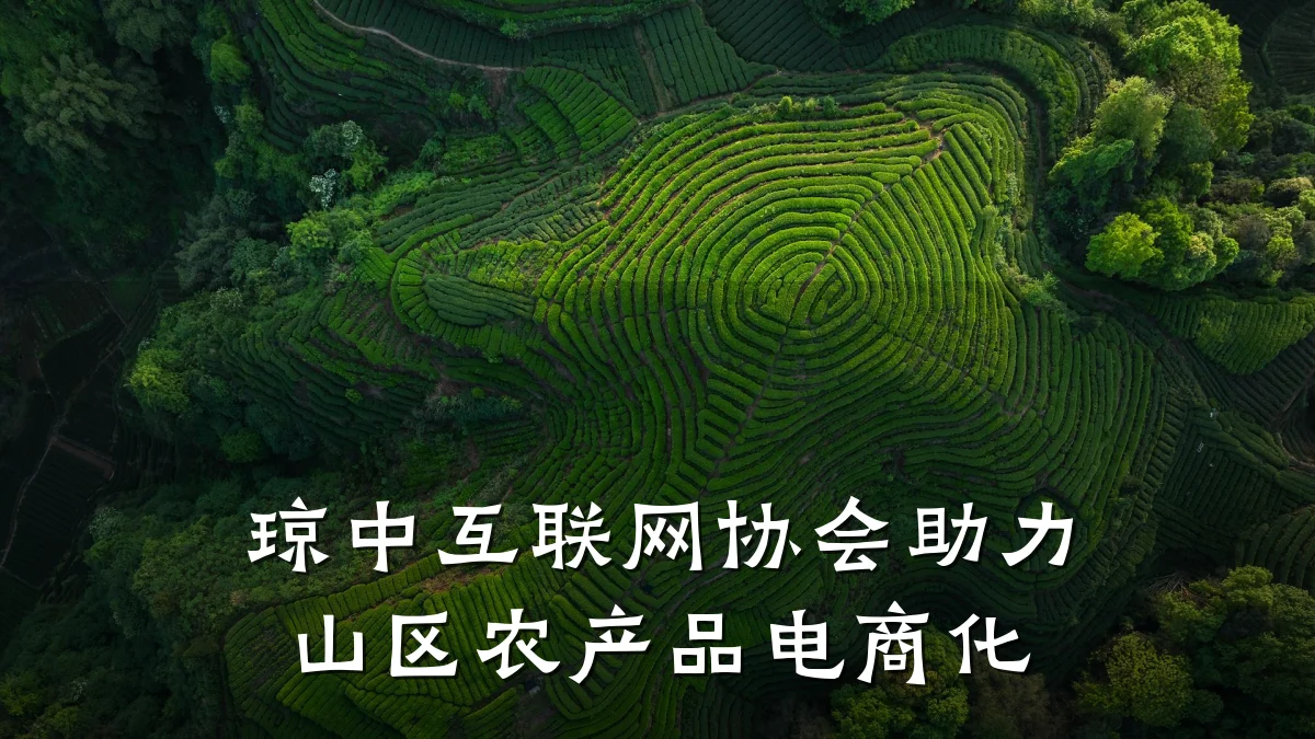 琼中互联网协会助力山区农产品电商化