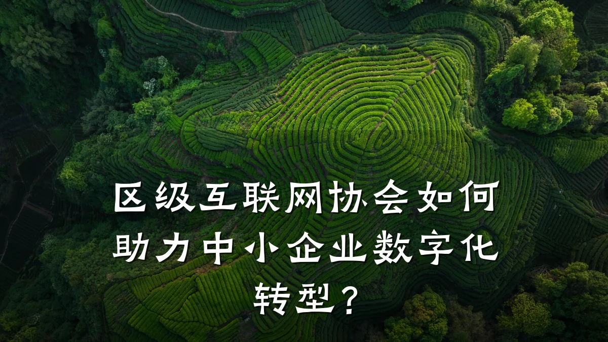 区级互联网协会如何助力中小企业数字化转型？