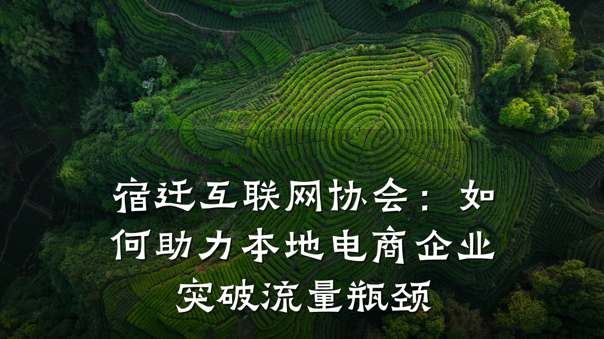 宿迁互联网协会:如何助力本地电商企业突破流量瓶颈