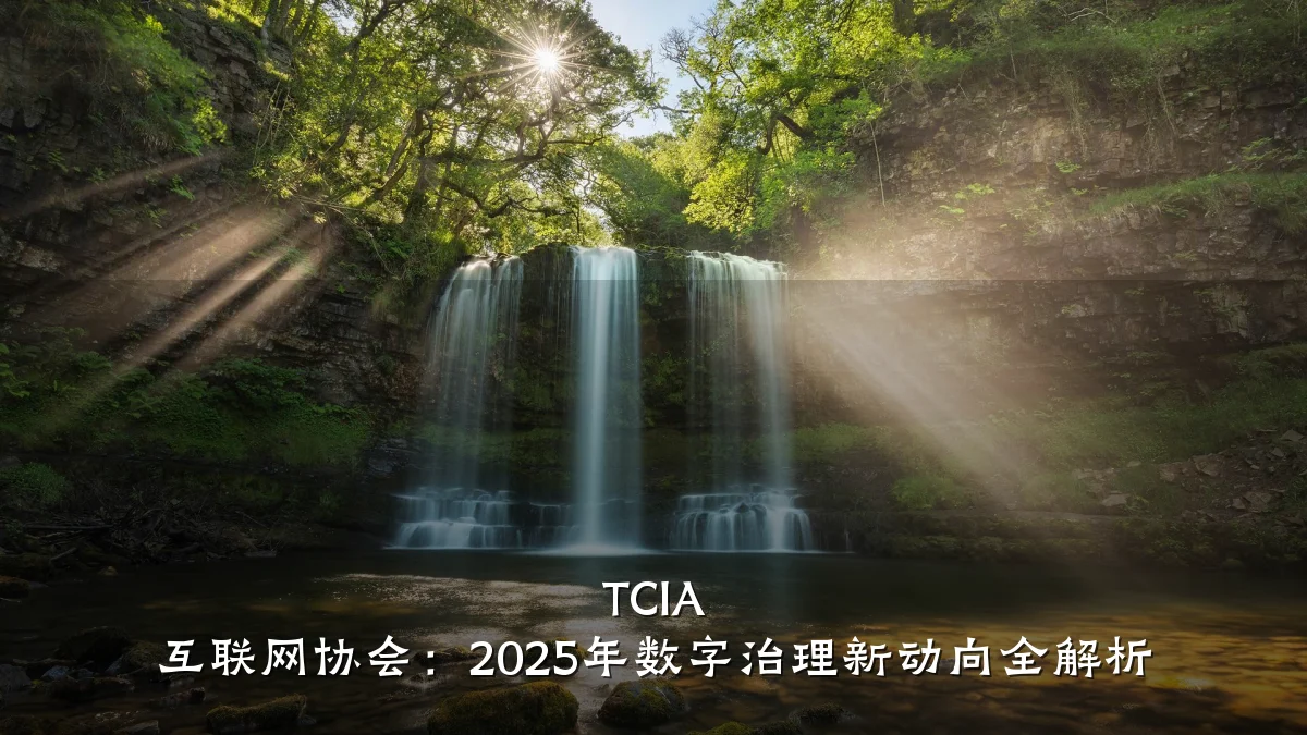 TCIA 互联网协会：2025年数字治理新动向全解析