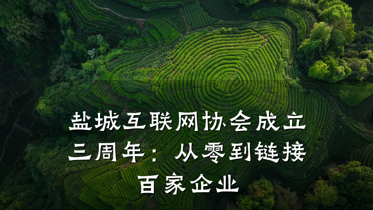 盐城互联网协会成立三周年：从零到链接百家企业