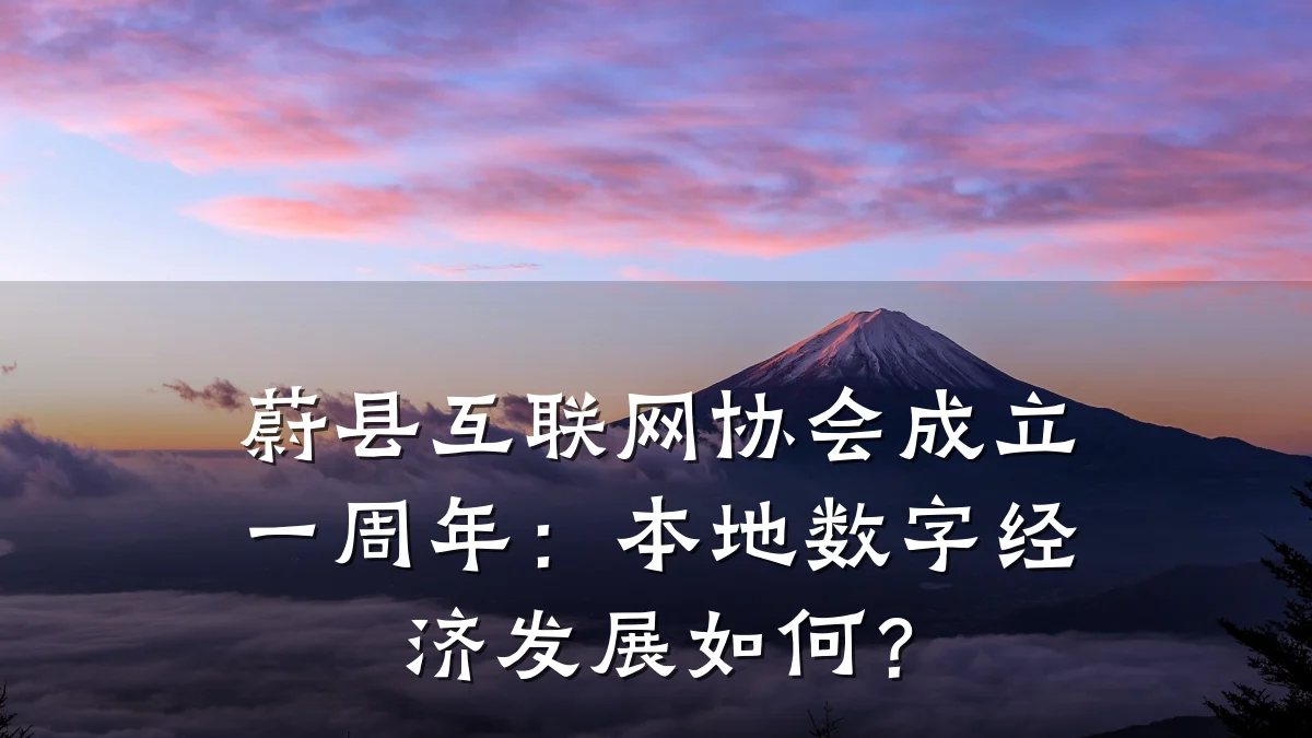 蔚县互联网协会成立一周年:本地数字经济发展如何?