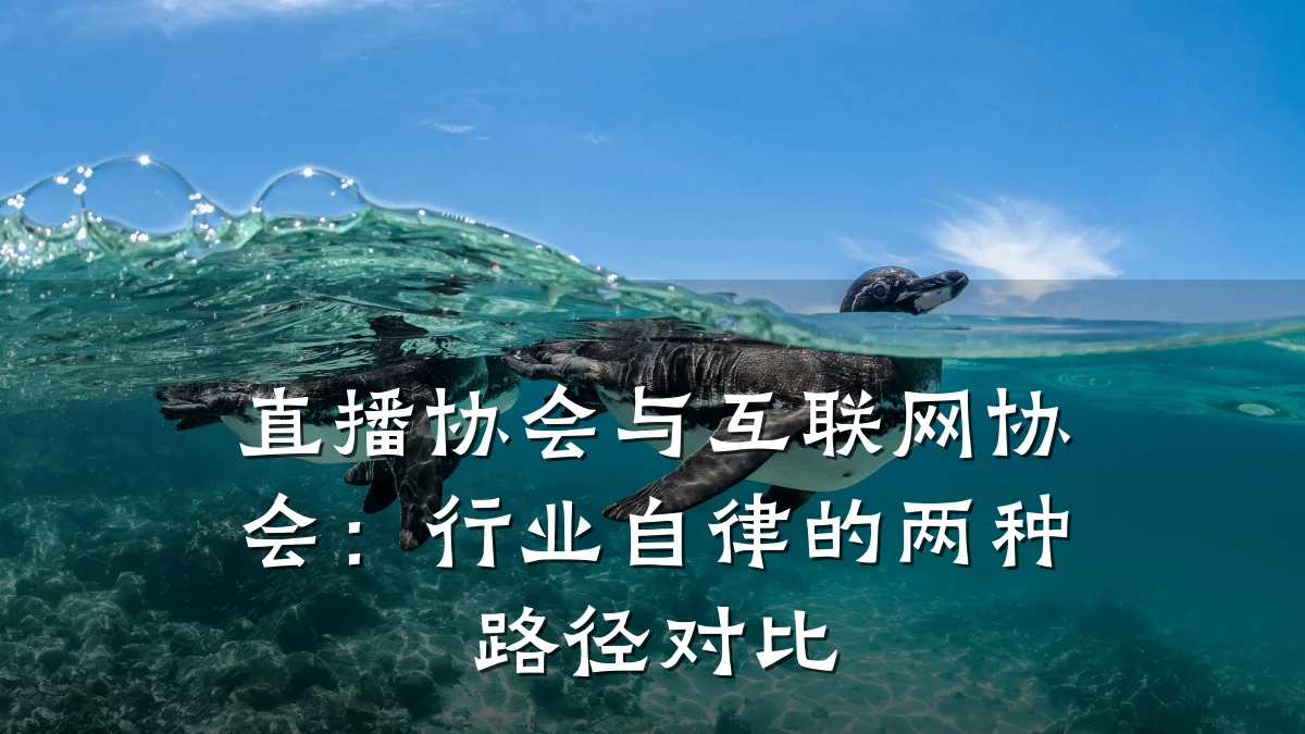 直播协会与互联网协会:行业自律的两种路径对比