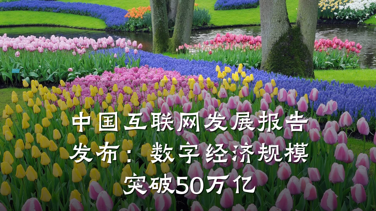 中国互联网发展报告发布:数字经济规模突破50万亿