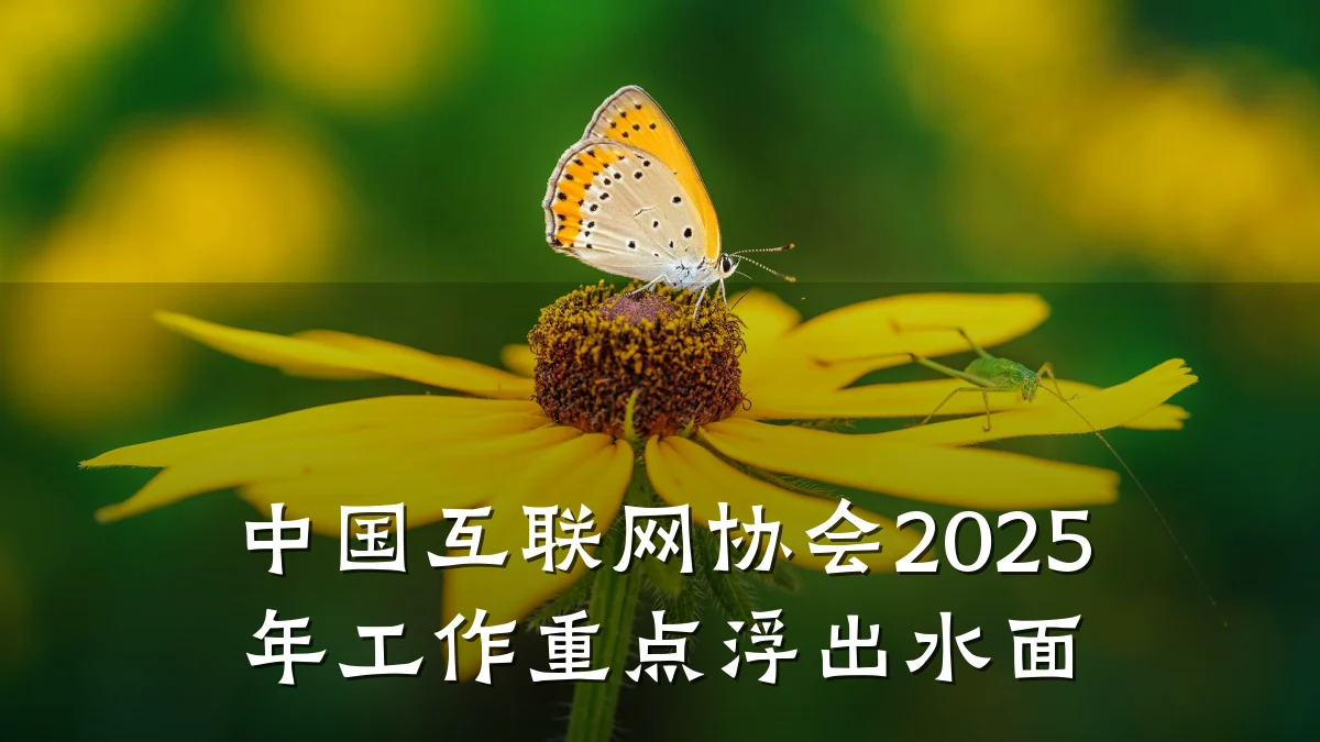 中国互联网协会2025年工作重点浮出水面