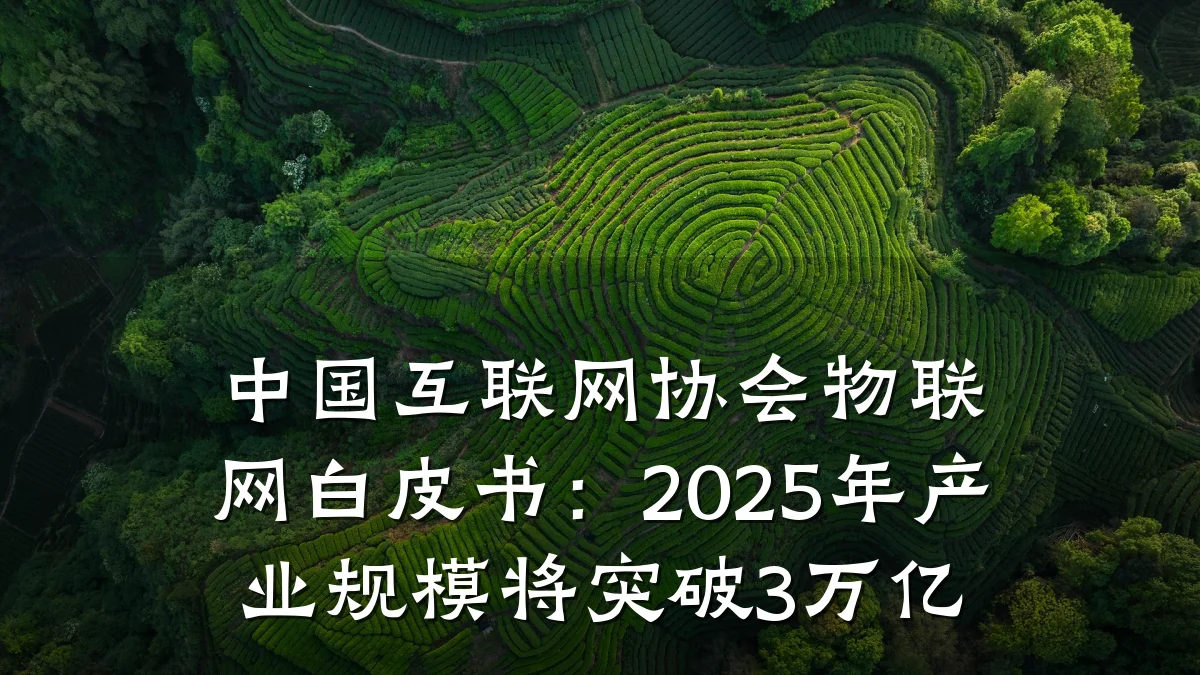 中国互联网协会物联网白皮书:2025年产业规模将突破3万亿