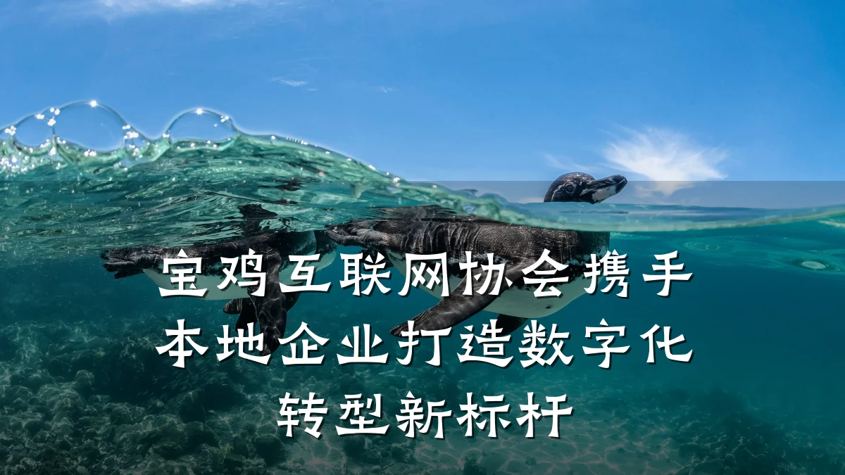 宝鸡互联网协会携手本地企业打造数字化转型新标杆