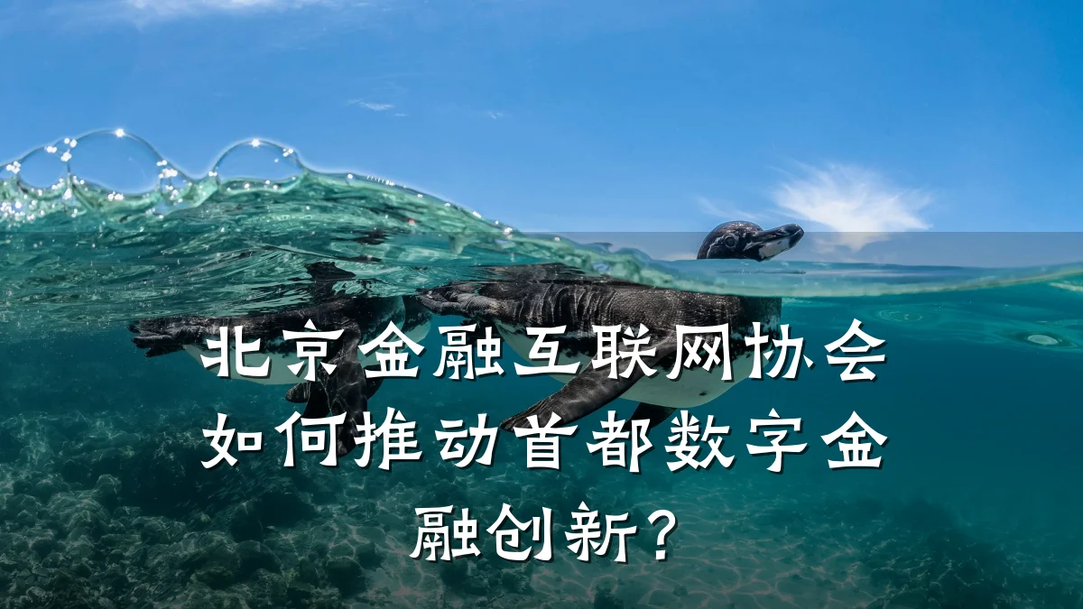 北京金融互联网协会如何推动首都数字金融创新？