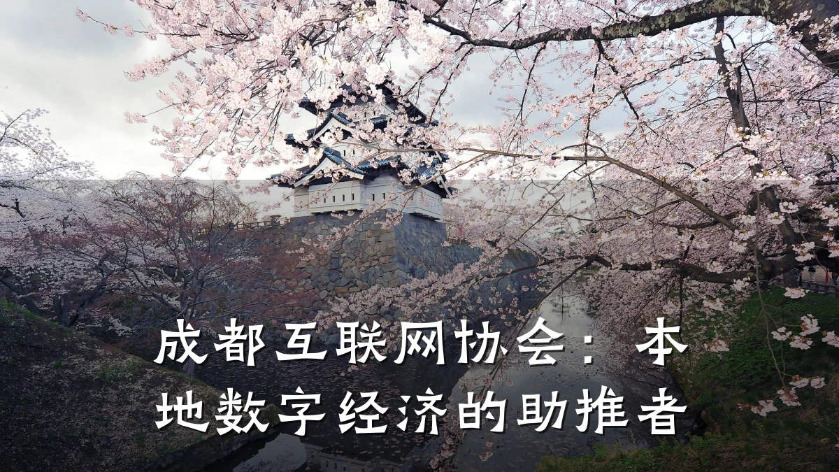 成都互联网协会：本地数字经济的助推者