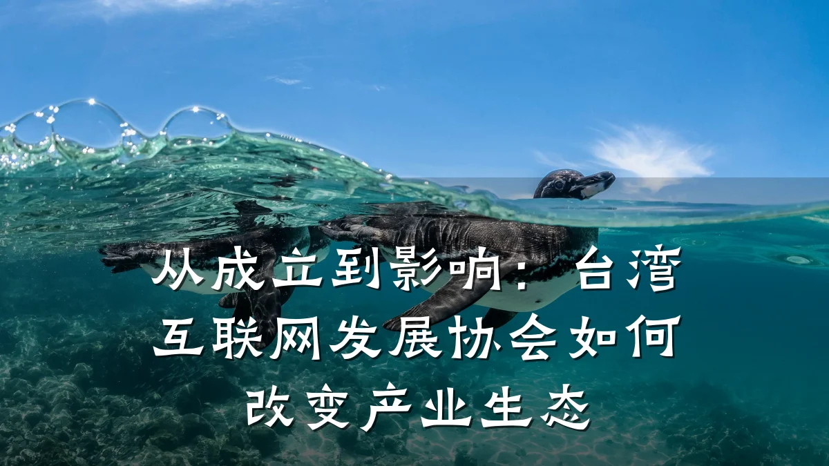 从成立到影响：台湾互联网发展协会如何改变产业生态