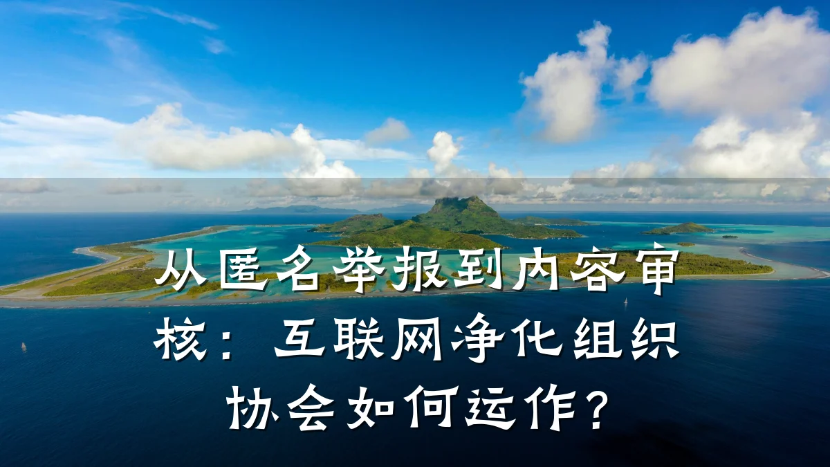 从匿名举报到内容审核:互联网净化组织协会如何运作?