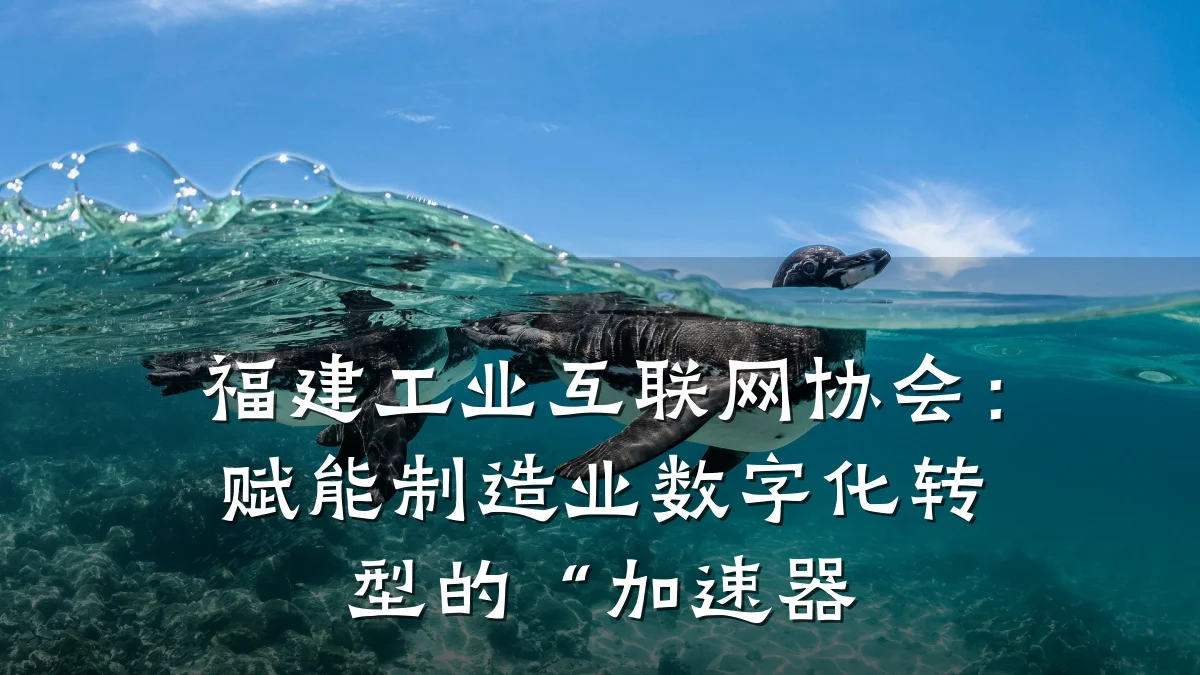 福建工业互联网协会:赋能制造业数字化转型的“加速器