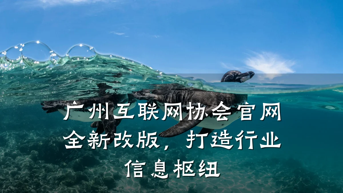 广州互联网协会官网全新改版，打造行业信息枢纽