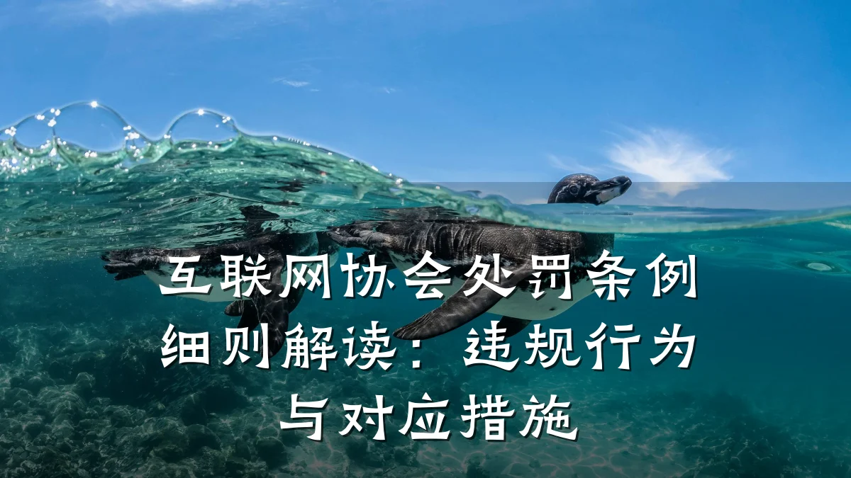互联网协会处罚条例细则解读：违规行为与对应措施