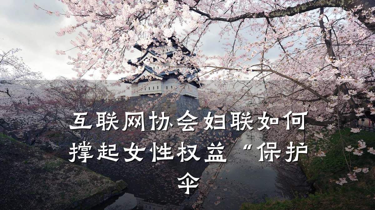 互联网协会妇联如何撑起女性权益“保护伞