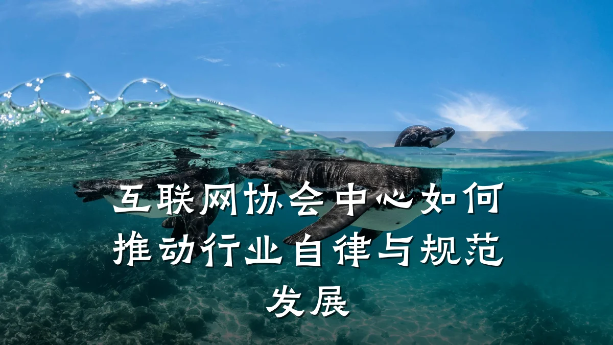 互联网协会中心如何推动行业自律与规范发展