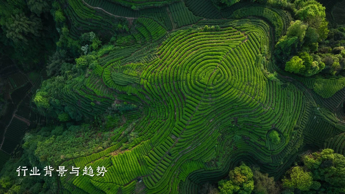行业背景与趋势