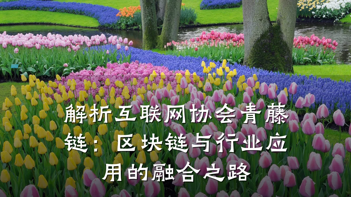解析互联网协会青藤链：区块链与行业应用的融合之路