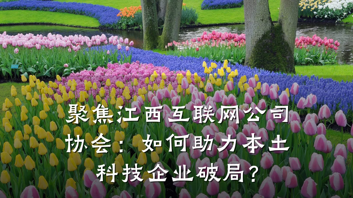 聚焦江西互联网公司协会：如何助力本土科技企业破局？