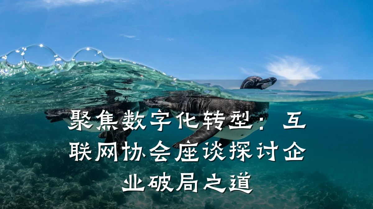 聚焦数字化转型:互联网协会座谈探讨企业破局之道