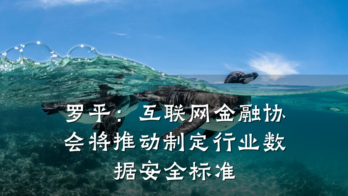罗平:互联网金融协会将推动制定行业数据安全标准