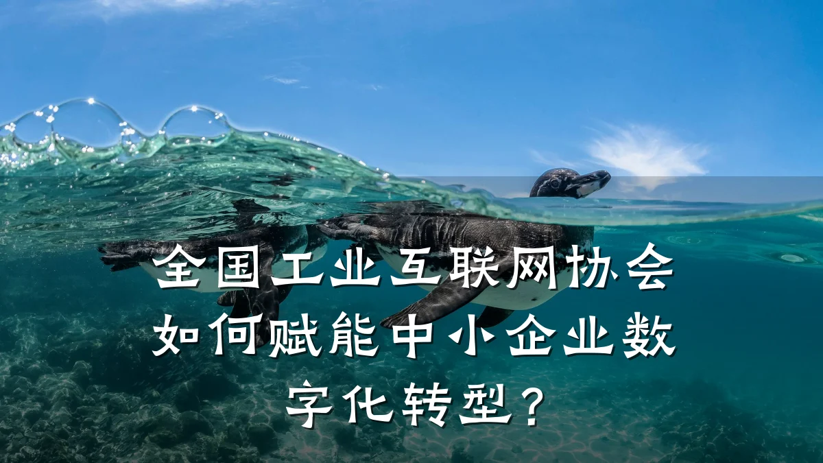 全国工业互联网协会如何赋能中小企业数字化转型？