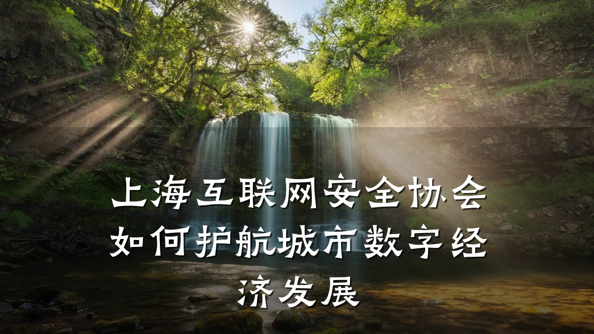 上海互联网安全协会如何护航城市数字经济发展