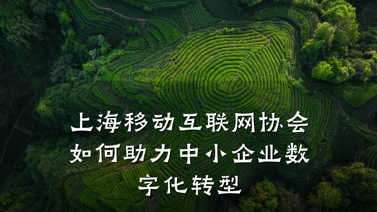 上海移动互联网协会如何助力中小企业数字化转型