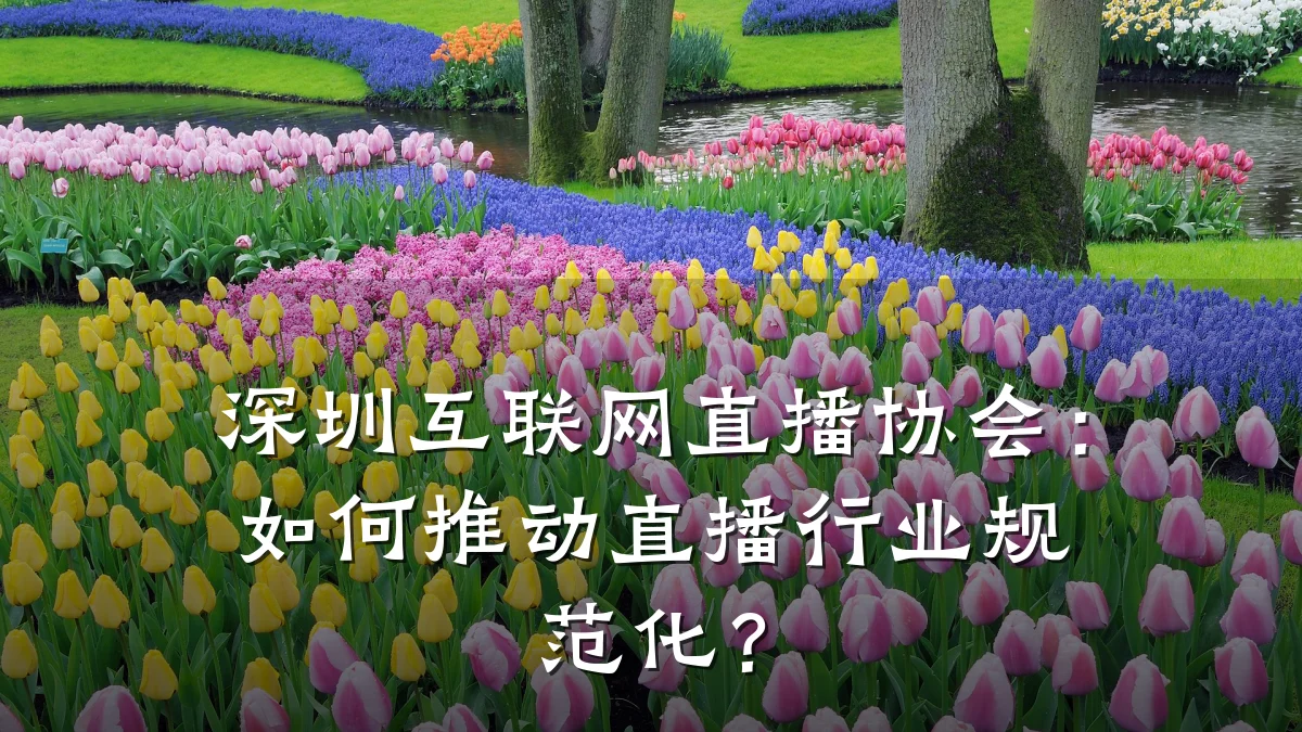 深圳互联网直播协会:如何推动直播行业规范化?