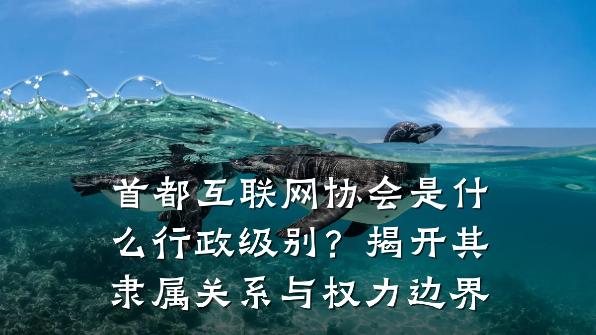 首都互联网协会是什么行政级别？揭开其隶属关系与权力边界