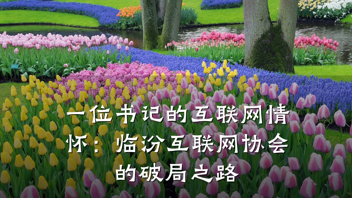 一位书记的互联网情怀：临汾互联网协会的破局之路