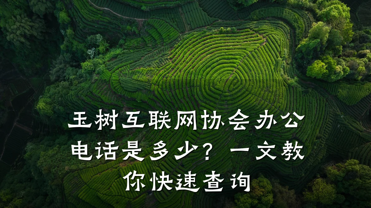 玉树互联网协会办公电话是多少？一文教你快速查询