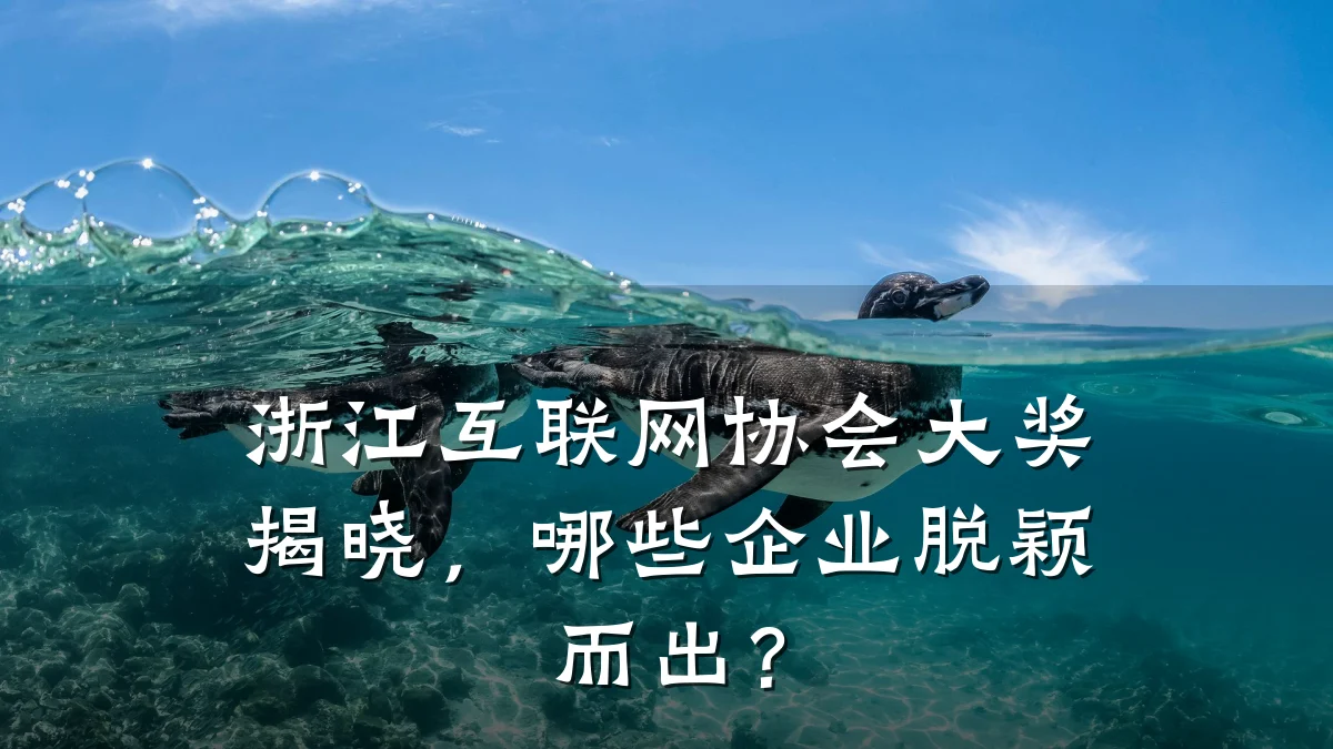 浙江互联网协会大奖揭晓，哪些企业脱颖而出？