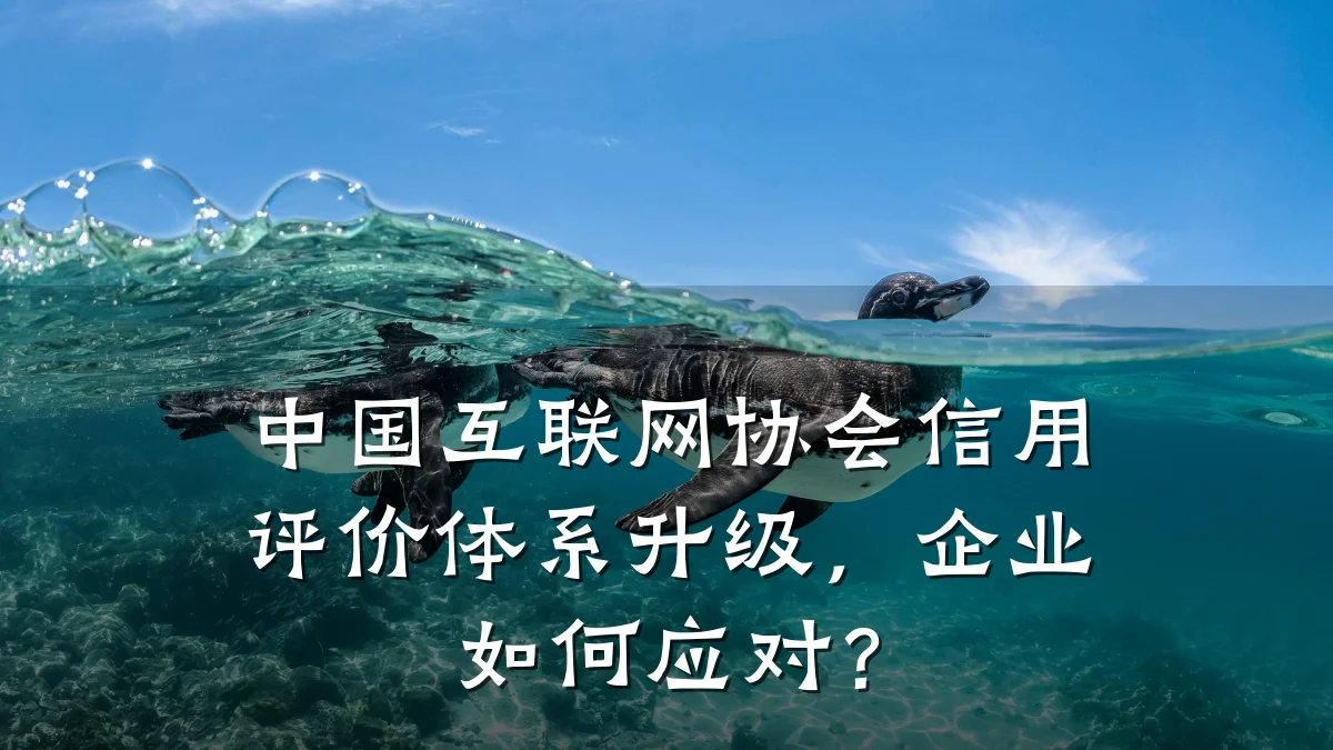 中国互联网协会信用评价体系升级，企业如何应对？