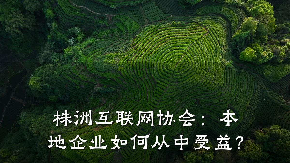 株洲互联网协会:本地企业如何从中受益?
