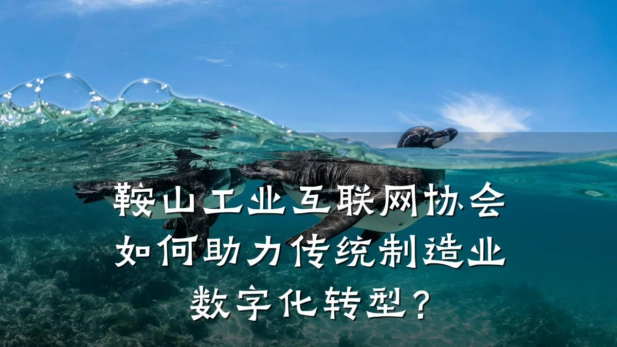 鞍山工业互联网协会如何助力传统制造业数字化转型？