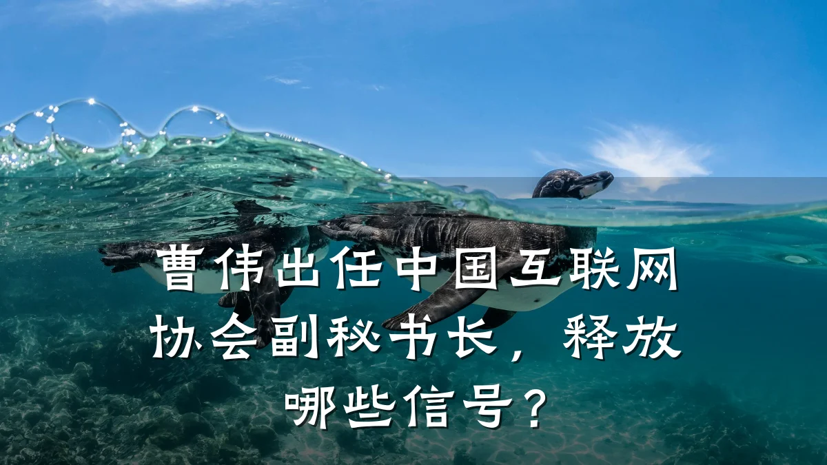 曹伟出任中国互联网协会副秘书长，释放哪些信号？