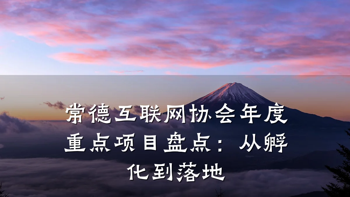 常德互联网协会年度重点项目盘点:从孵化到落地