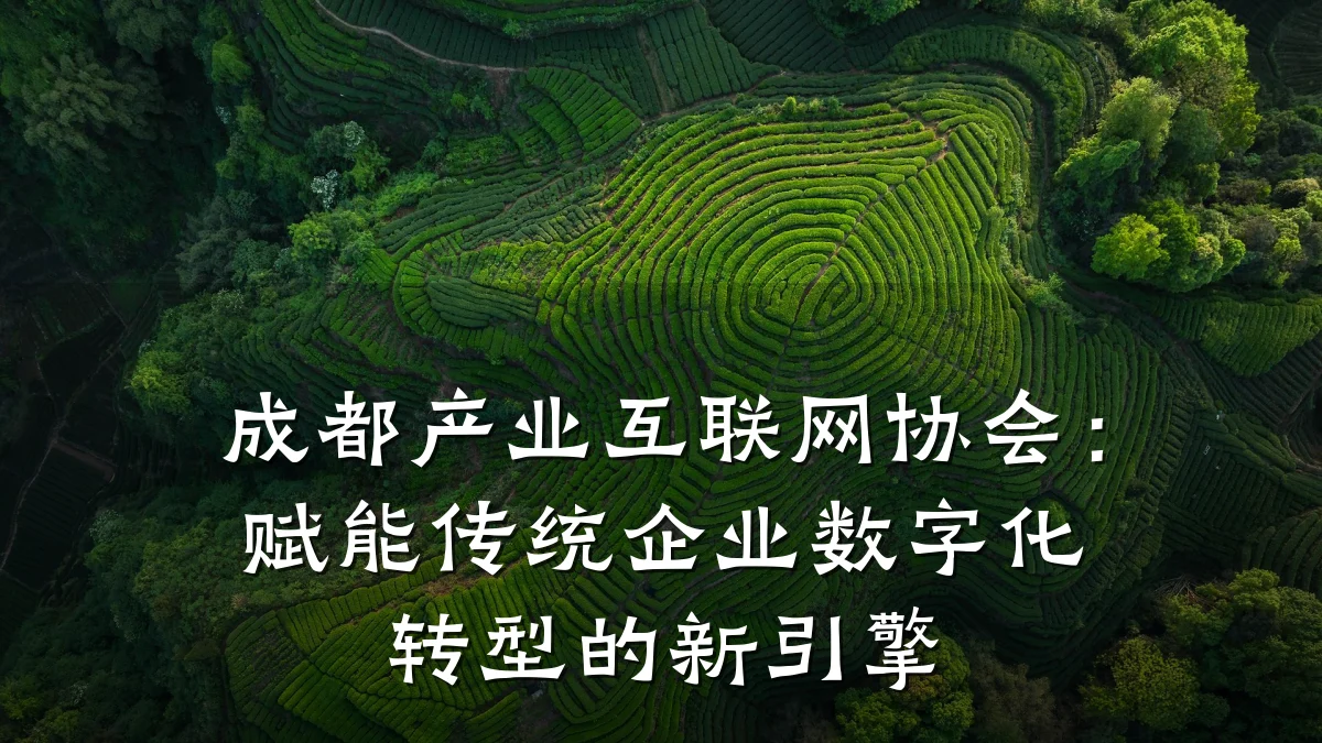 成都产业互联网协会：赋能传统企业数字化转型的新引擎