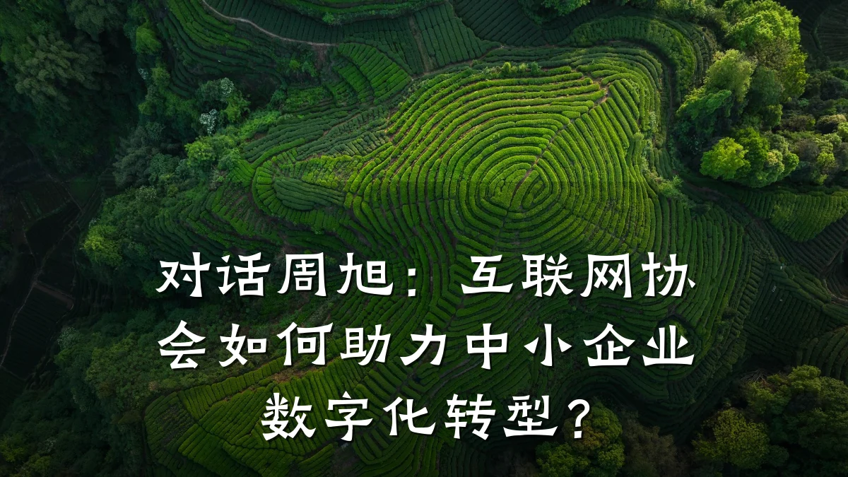 对话周旭：互联网协会如何助力中小企业数字化转型？
