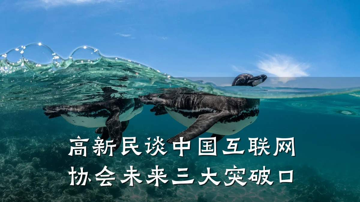 高新民谈中国互联网协会未来三大突破口
