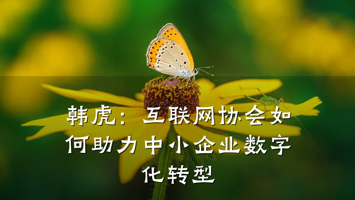 韩虎：互联网协会如何助力中小企业数字化转型