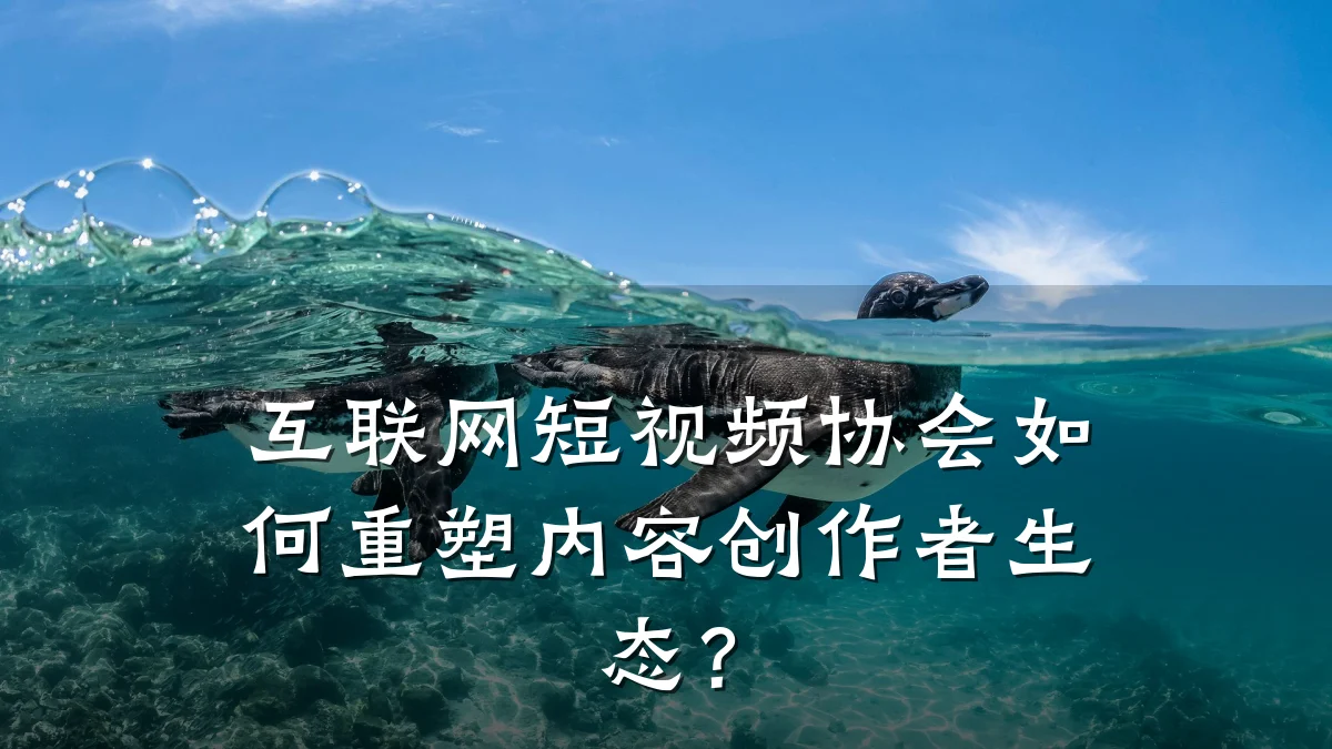 互联网短视频协会如何重塑内容创作者生态？