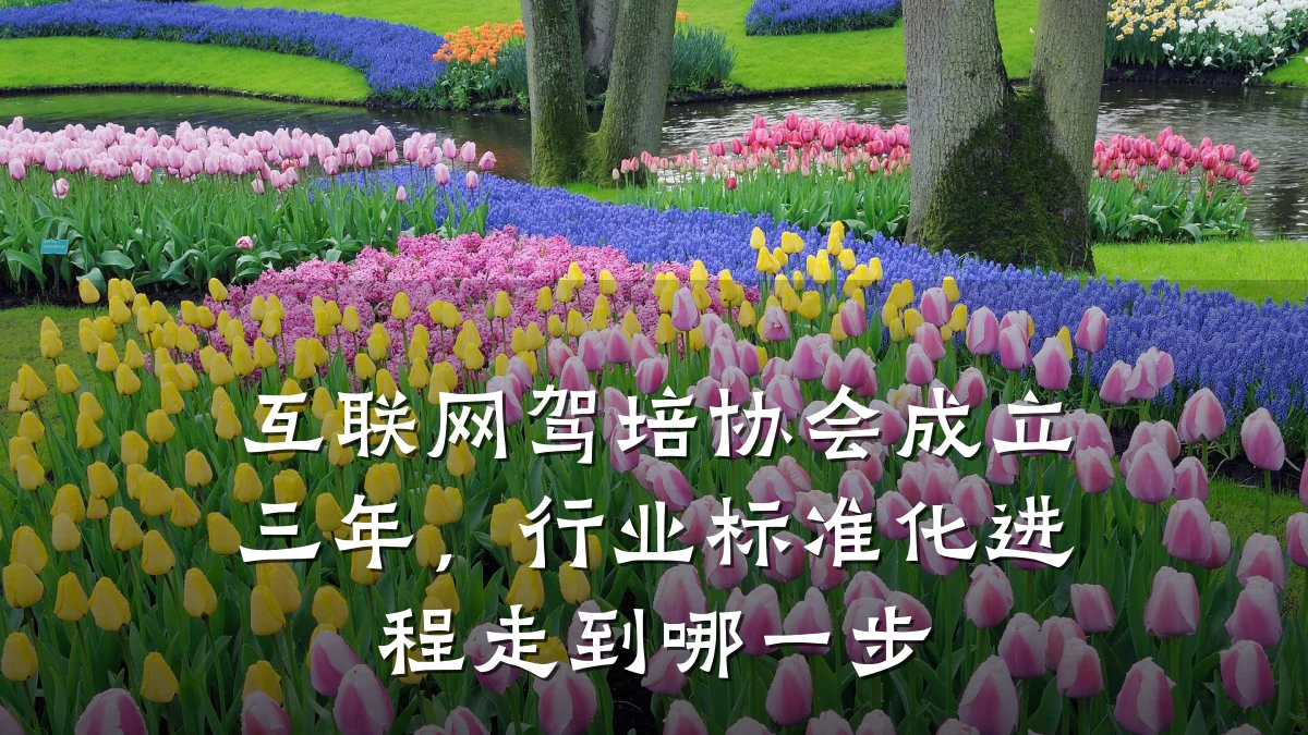 互联网驾培协会成立三年,行业标准化进程走到哪一步