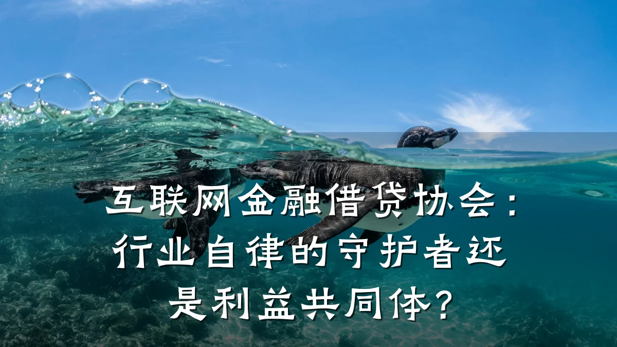 互联网金融借贷协会：行业自律的守护者还是利益共同体？