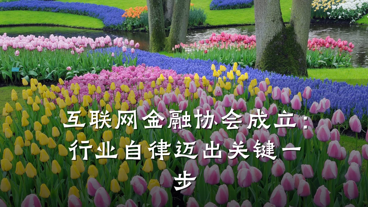 互联网金融协会成立：行业自律迈出关键一步