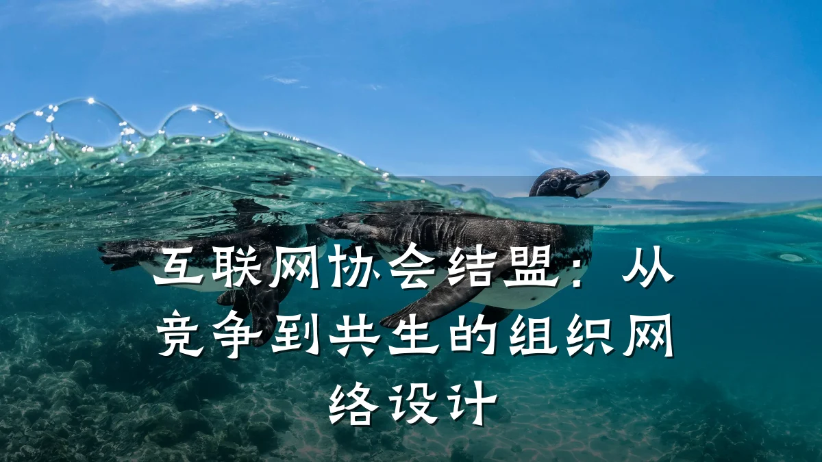 互联网协会结盟:从竞争到共生的组织网络设计